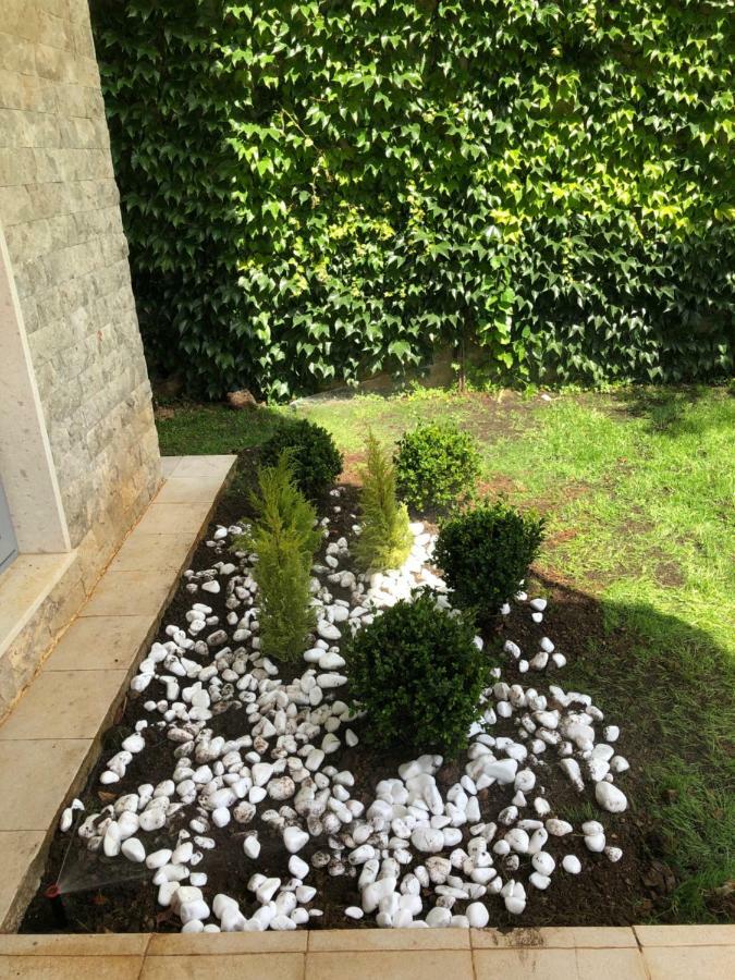 Acacia Hill A3 Apartment Ðenovići Екстериор снимка